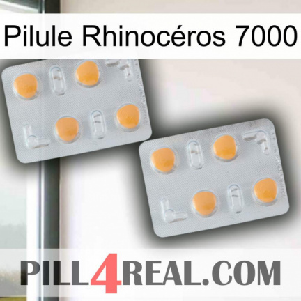 Pilule Rhinocéros 7000 25